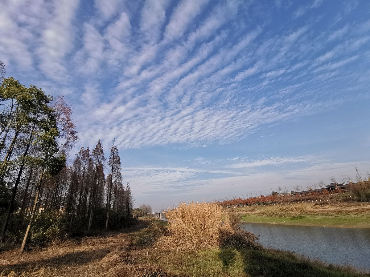 怀念射阳：童年的美好时光，家乡的温暖记忆