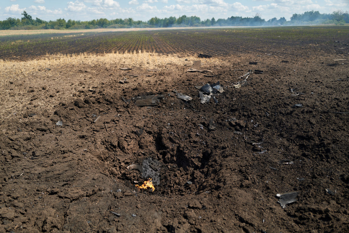 大气降尘重金属污染：影响土壤、植物和人类健康