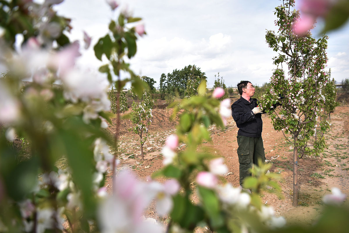 西安海棠职业学院2019年招生简章