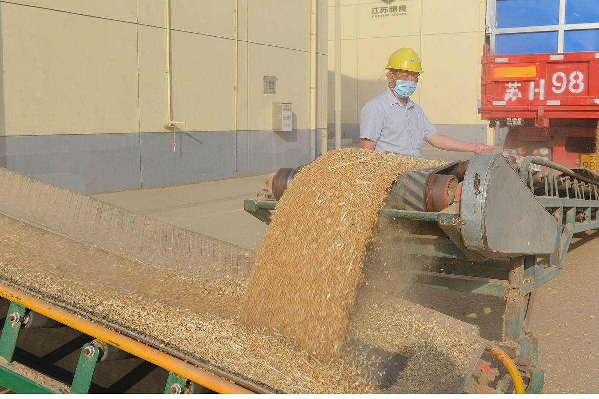 写一篇 葵花籽脱壳分选机介绍