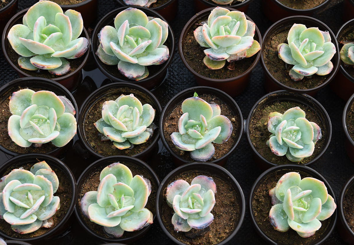 2021年山东枣庄工业学校招生专业都有哪些