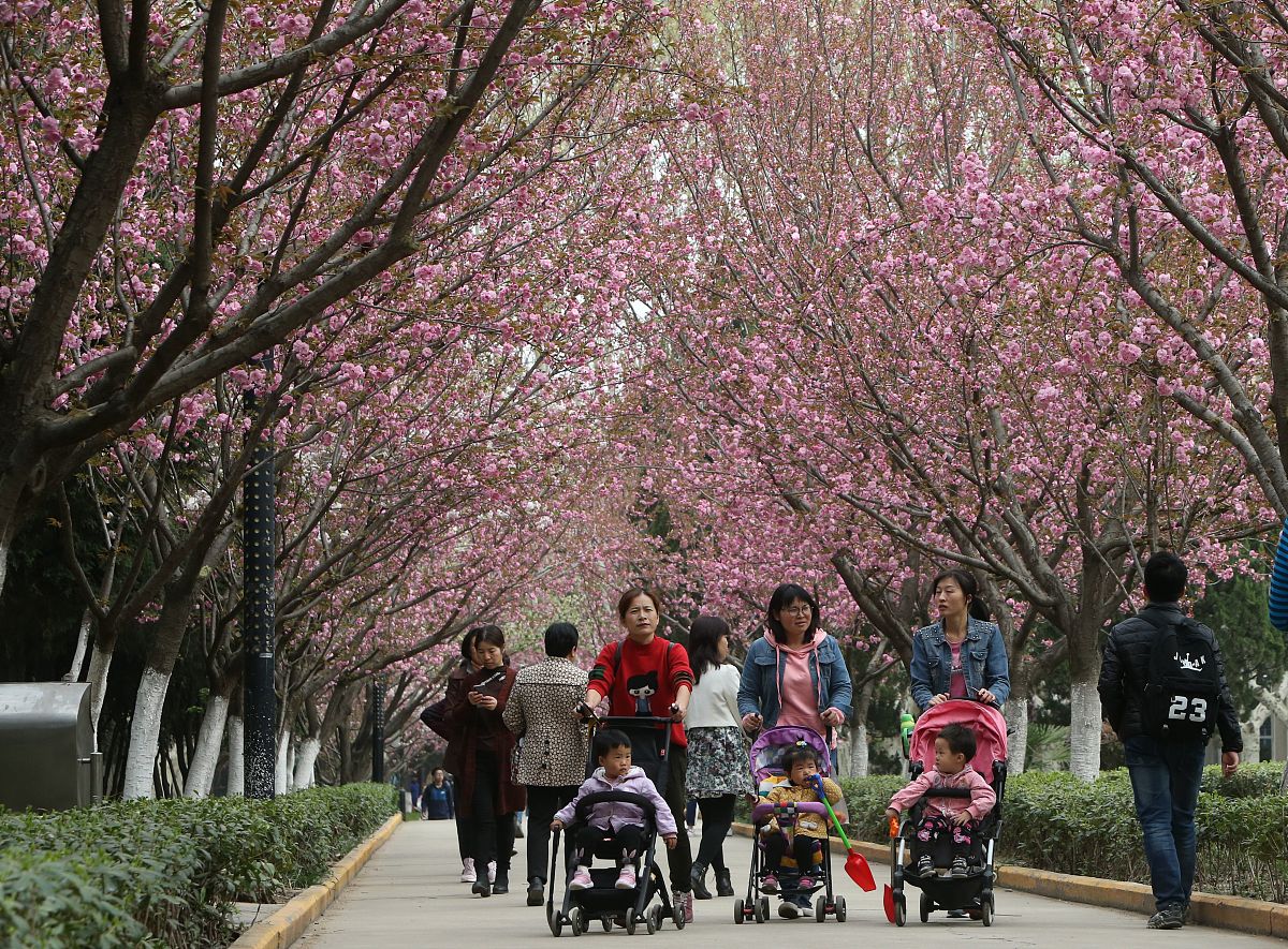 西安铁路学校就业排名：哪个院校前景最好？