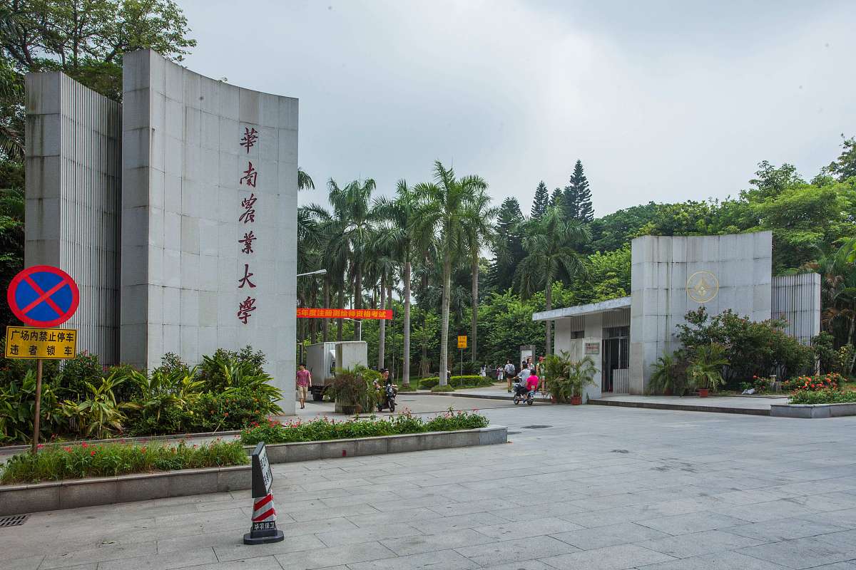 娄底艺术职业学校2022年招生简章 - 报考条件、时间、方式