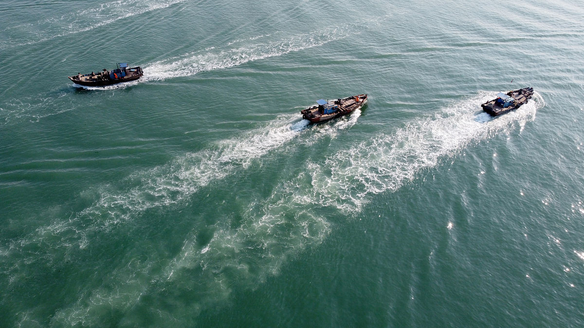 威海海洋职业学院数字媒体应用技术与新迈尔北京科技有专业如何好学吗