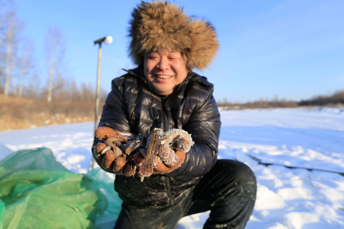 庆阳林业学校艺术设计与网络工程专业怎么样？就业前景、课程设置、师资力量全面解析