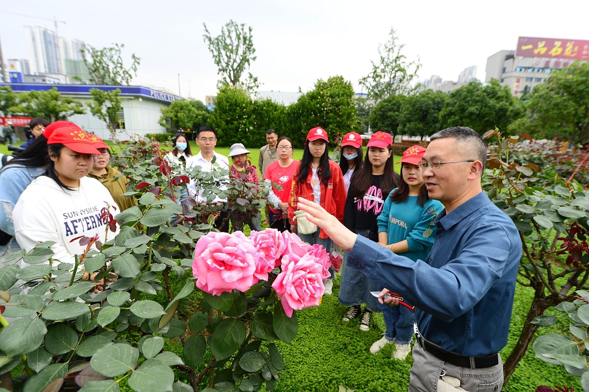 辽宁省农业技术学校园艺技术专业怎么样？2021年招生解析