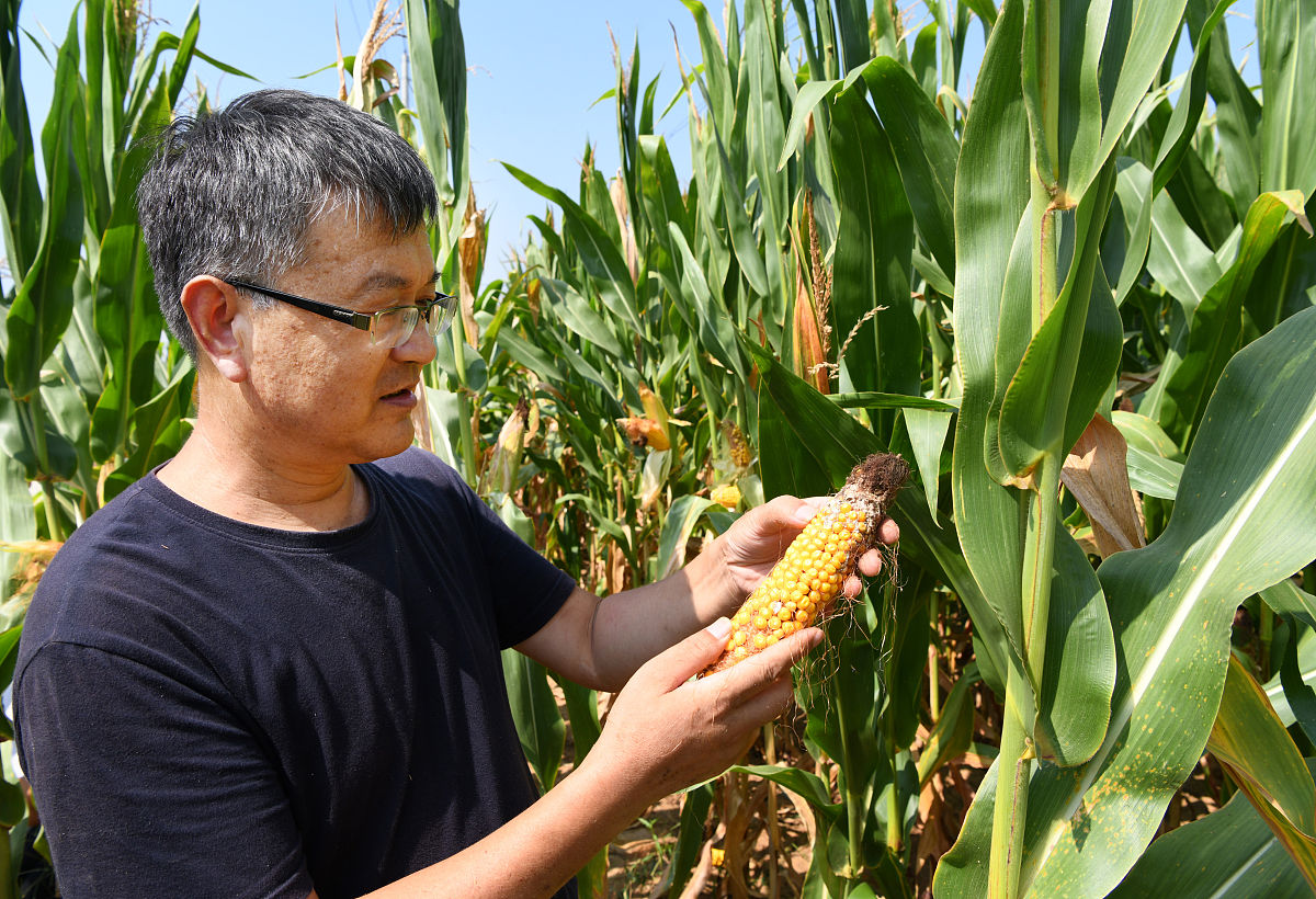 云南大理农业学校2022年招生：培养未来农业人才