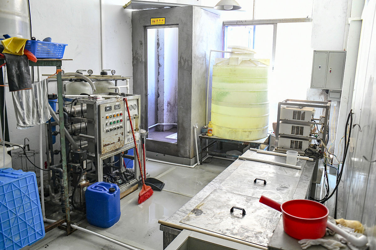 低温等离子体技术应用于柑橘罐头加工废水COD降解