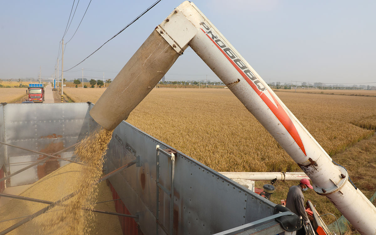 佛山顺德区陈村职业技术学校2023年招生专业-机械/电子信息/建筑装饰/商贸服务