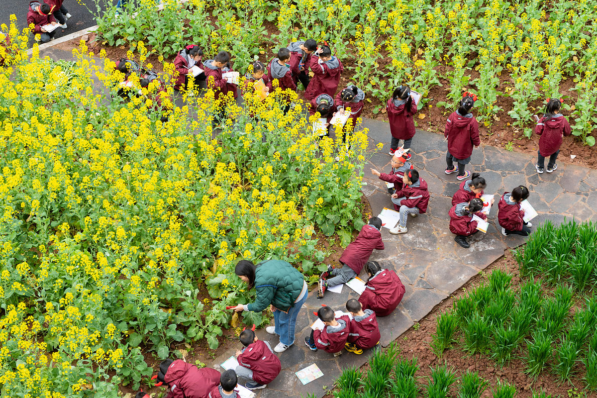 重庆教育管理学校2021年招生办联系电话