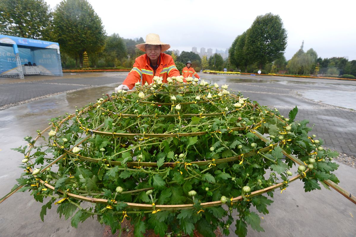 贵州职业技术学院园林工程技术专业怎么样?就业前景如何?