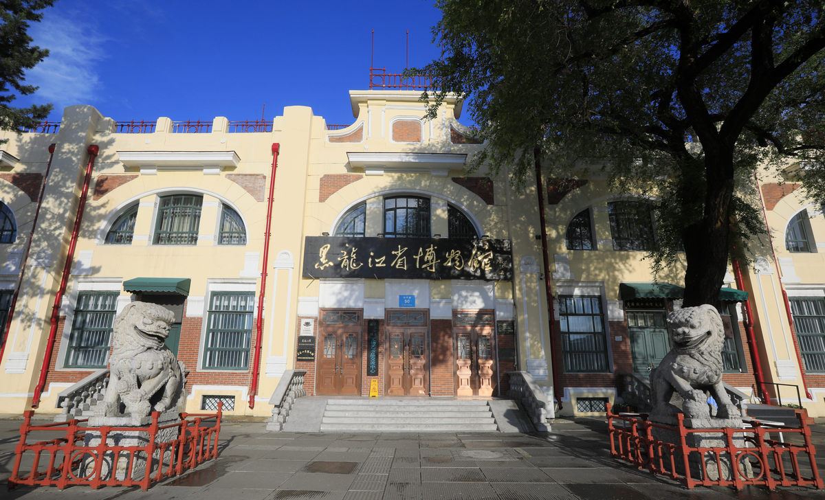 长春电影之旅：难忘的电影文化体验