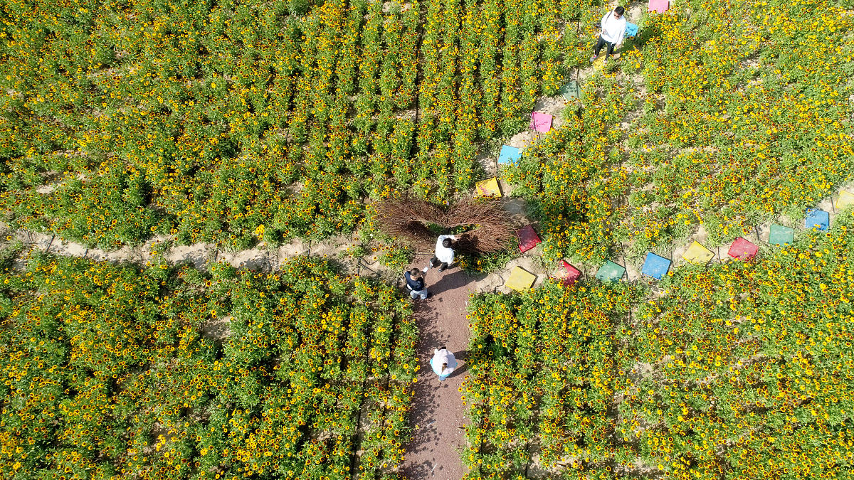 松桃县中等职业学校观光农业经营专业就业方向 - 就业前景分析