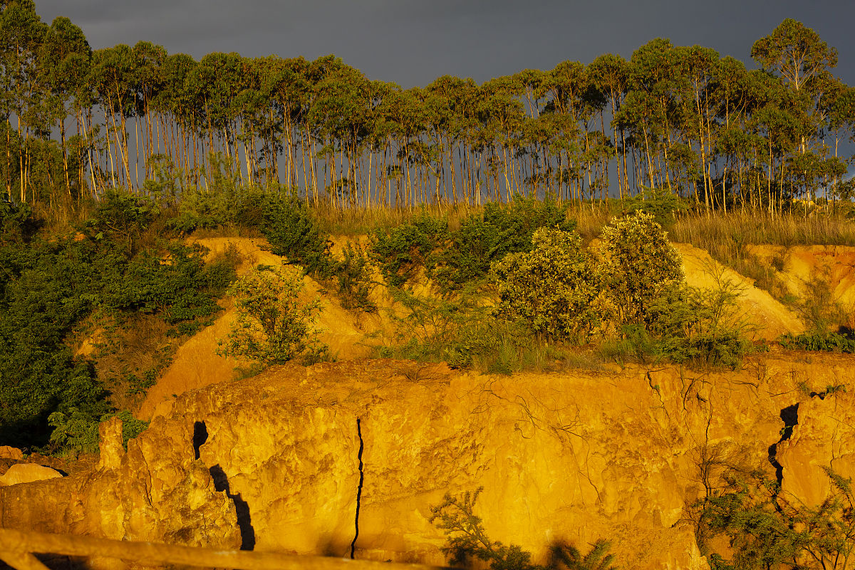 2023年云南商务职业学院工程造价专业介绍