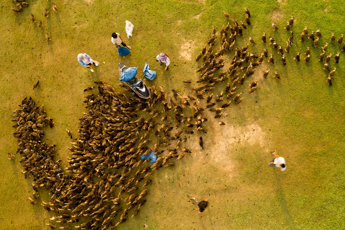 广西中专学校最受欢迎的专业：人工智能、电子商务、医学