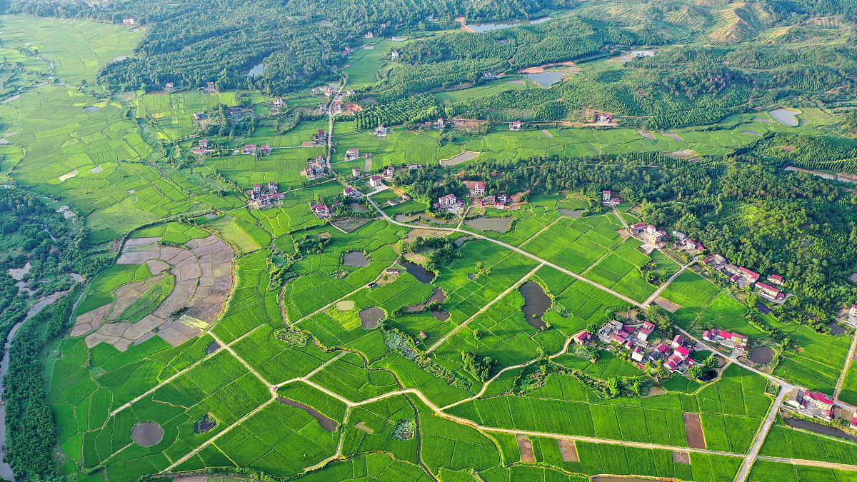 绵阳师范学院四川县域经济发展研究中心协办四川省县域绿色发展路径研究座谈会