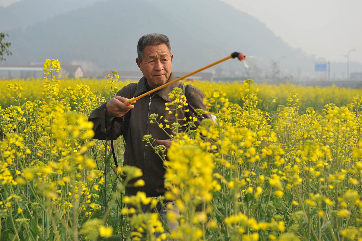 云南省曲靖农业中等学校2019年五年制新增专业