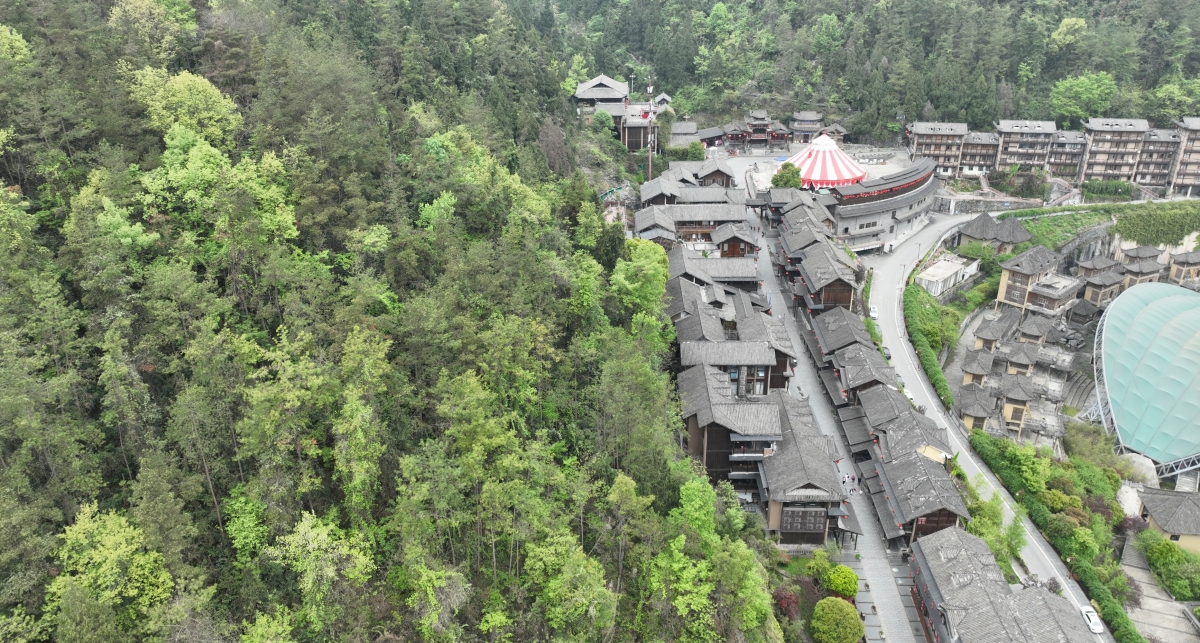 重庆免费挖笋子景点,重庆免费挖笋子景点有哪些