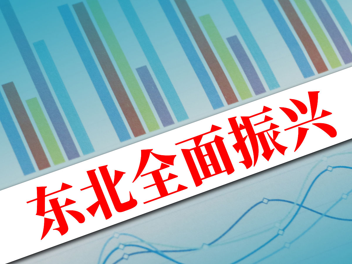 东北振兴：经济学视角下的机遇与挑战