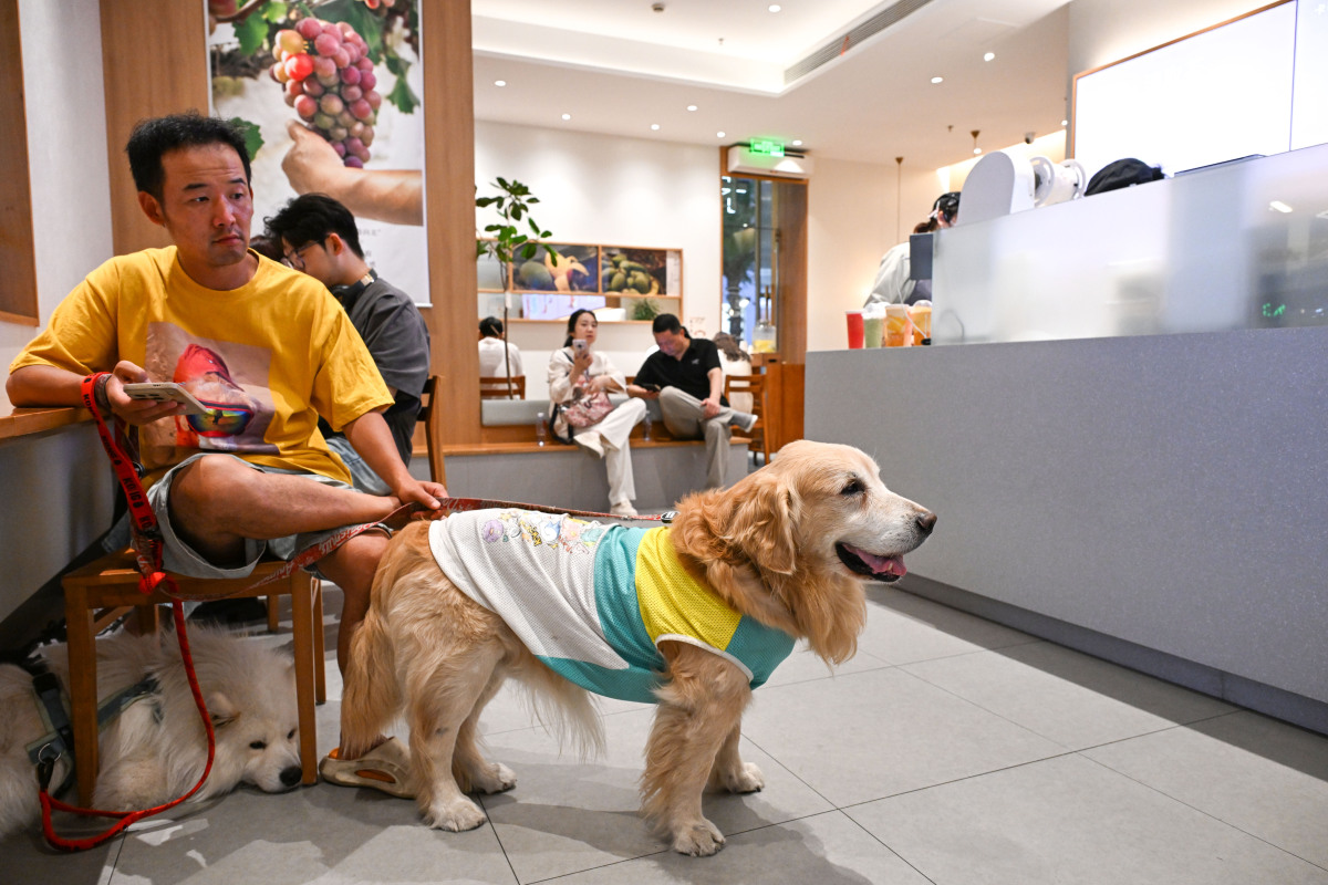 以饲养宠物的利与弊为题写一篇正文2000字的论文。包含摘要关键词正文参考文献