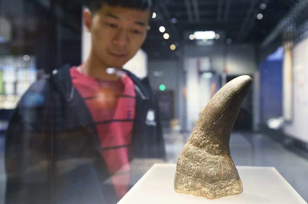 贵州中医药职业学校招生简章 - 2020年