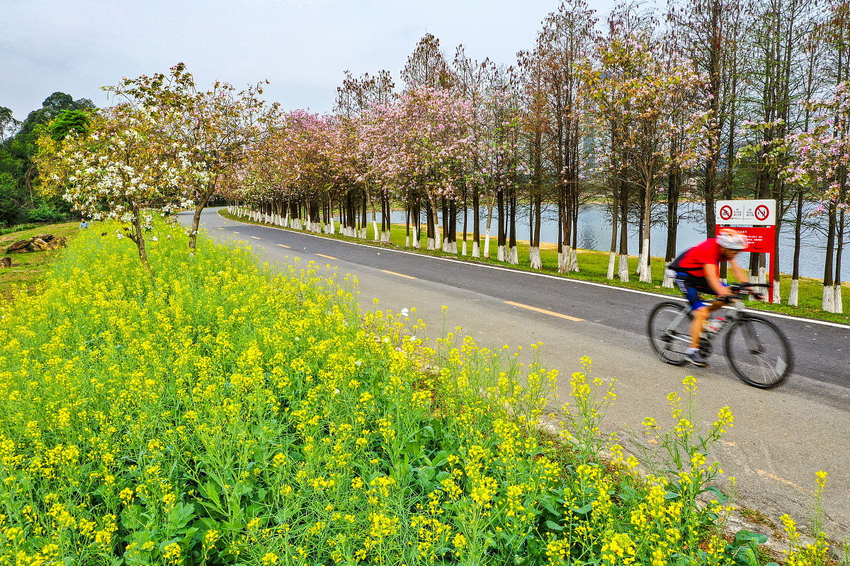 广东机电职业技术学院移动通信技术专业就业前景如何