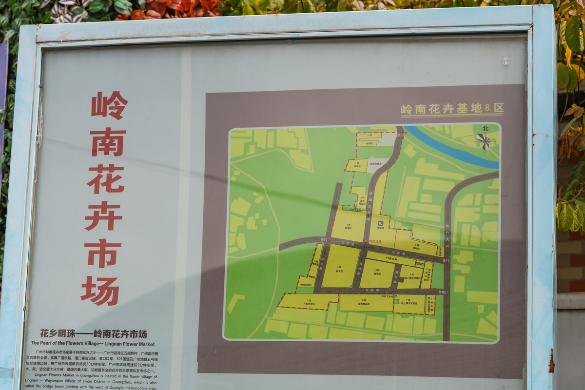 2026年4月4日,广州,岭南花卉市场基地b区人头攒动,,,.