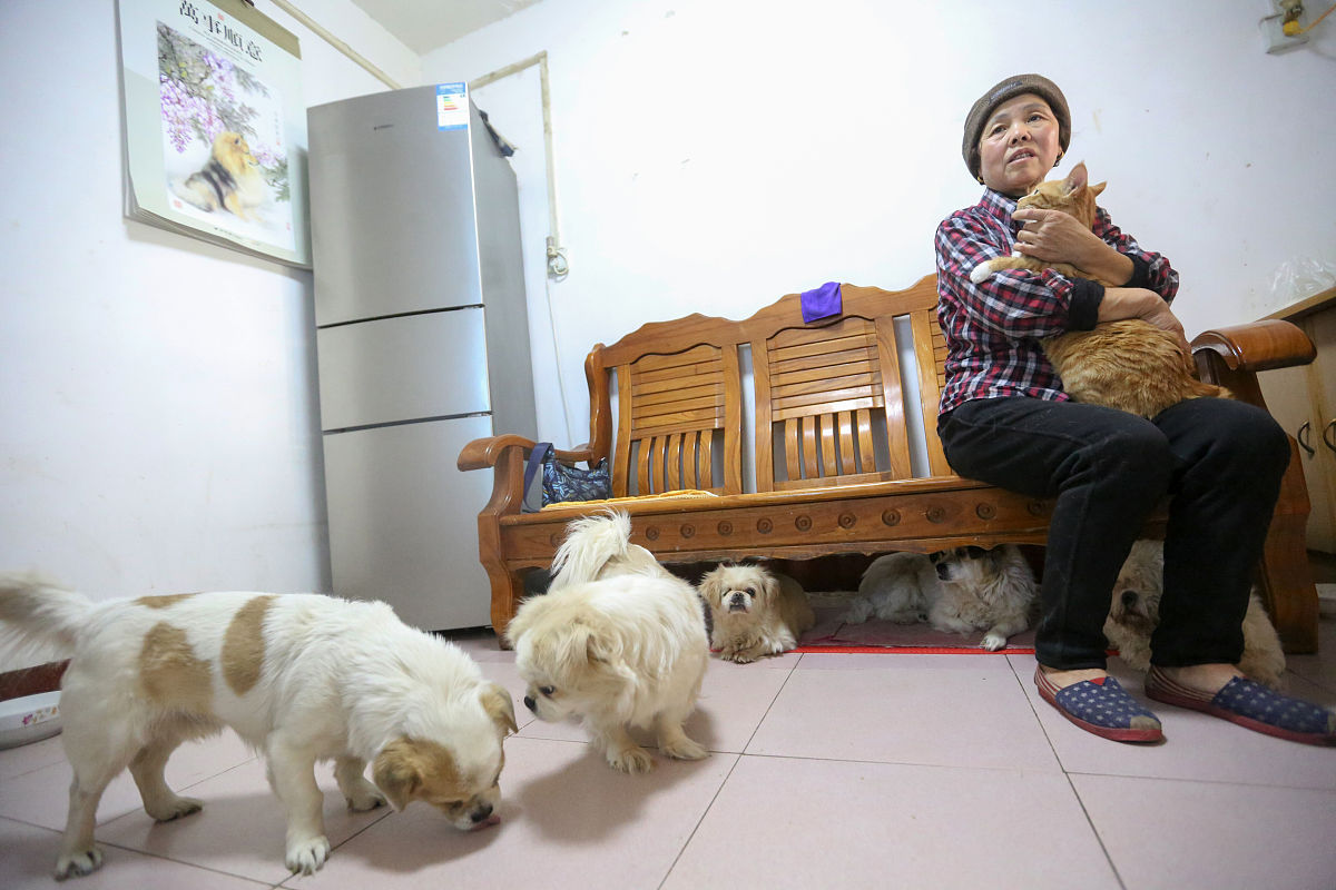 根据以下内容写出一条30字左右的短视频标题：狗狗寄住在婆婆家吃太多人的剩菜了我该怎么委婉表示别让狗吃太多了？