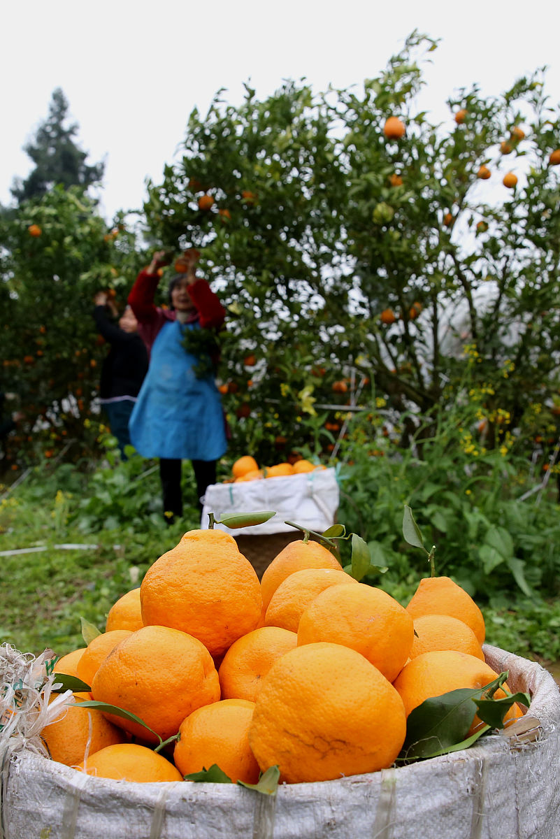 内江市高级技工学校2019年招生专业及计划-培养高级技工人才