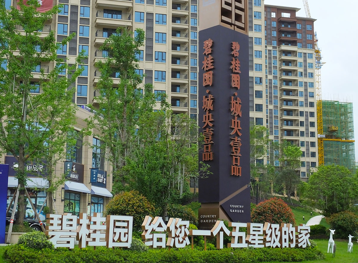 你了解碧桂园房产在中国近十年的发展状况吗？