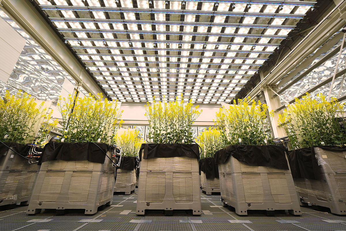 南京2023年初中生能读卫校吗-怎么样