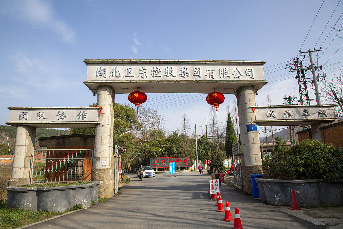 绵阳哪个中专学校好用发散性思