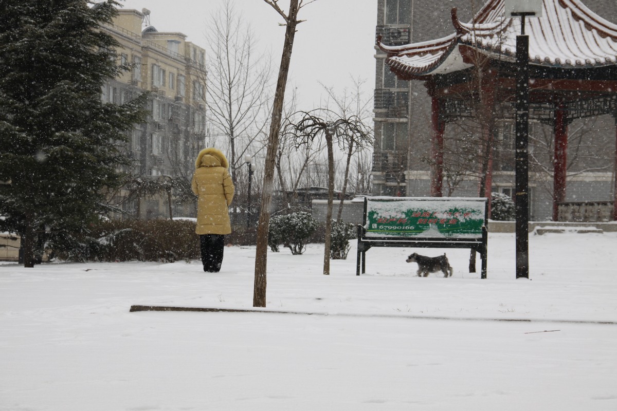 北京南部一小区里已被大雪覆盖.
