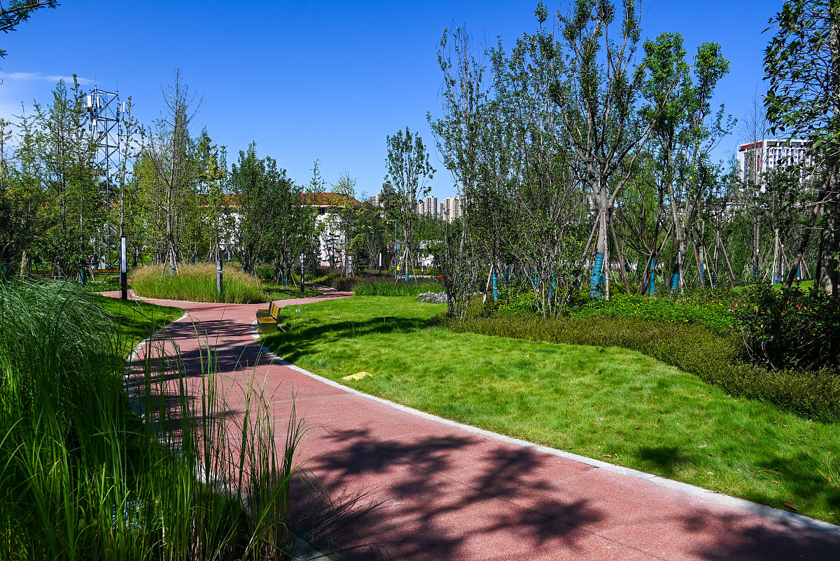 成都高铁学校招生标准有哪些用