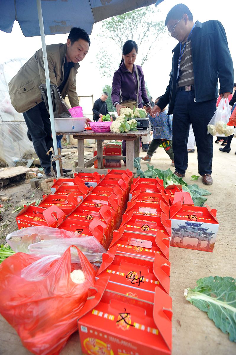 2014年4月13日,不少市民或自驾或跟团来到武汉东西湖石榴红村,享受周