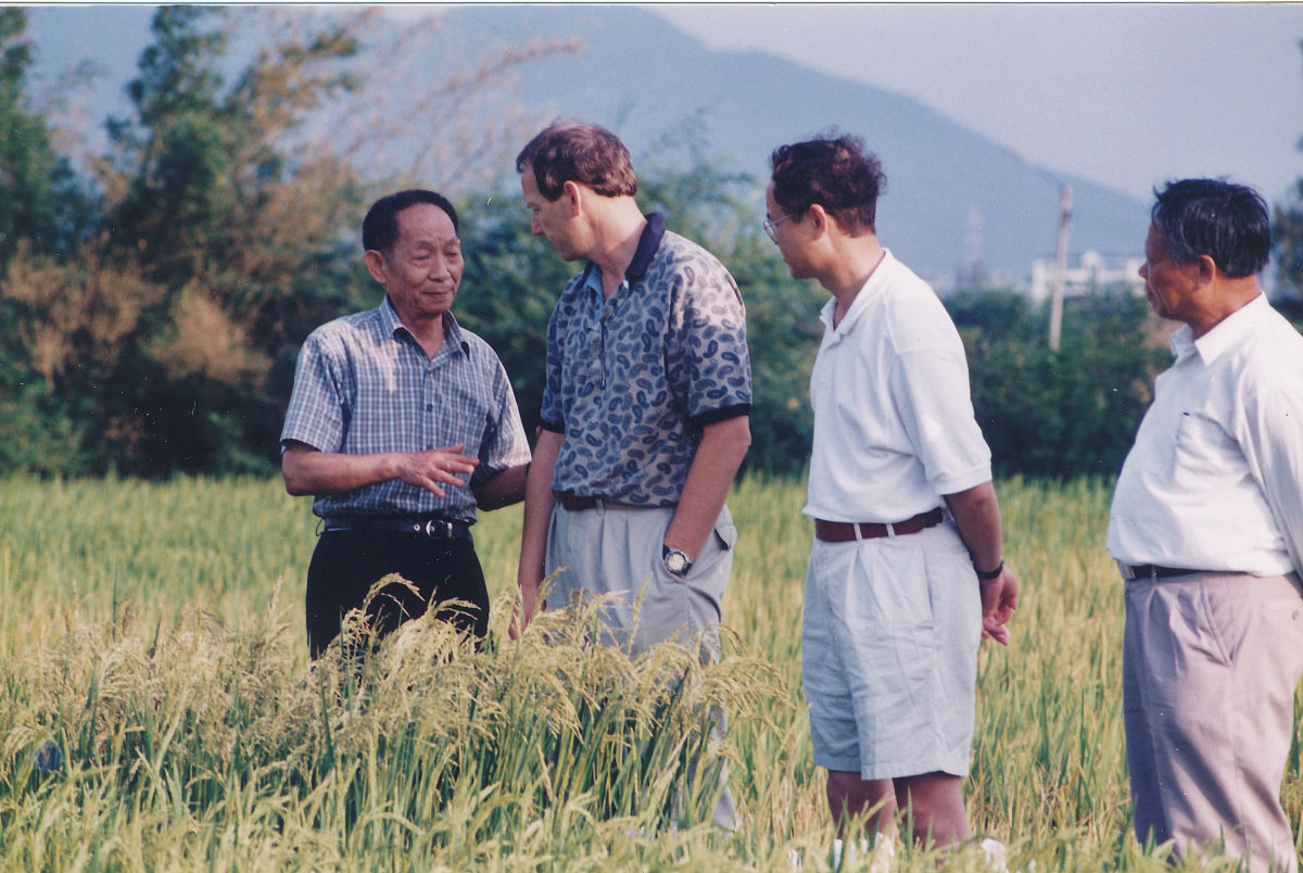 杂交水稻父母本是什么节目回答+拓展。