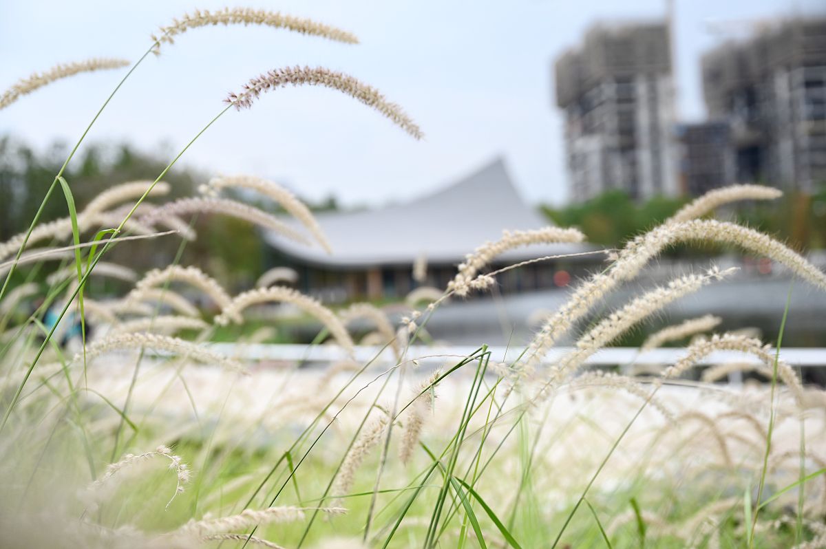 2021年10月27日,成都,兴隆湖畔书店.(如需下载使用,请务必署名:红星新