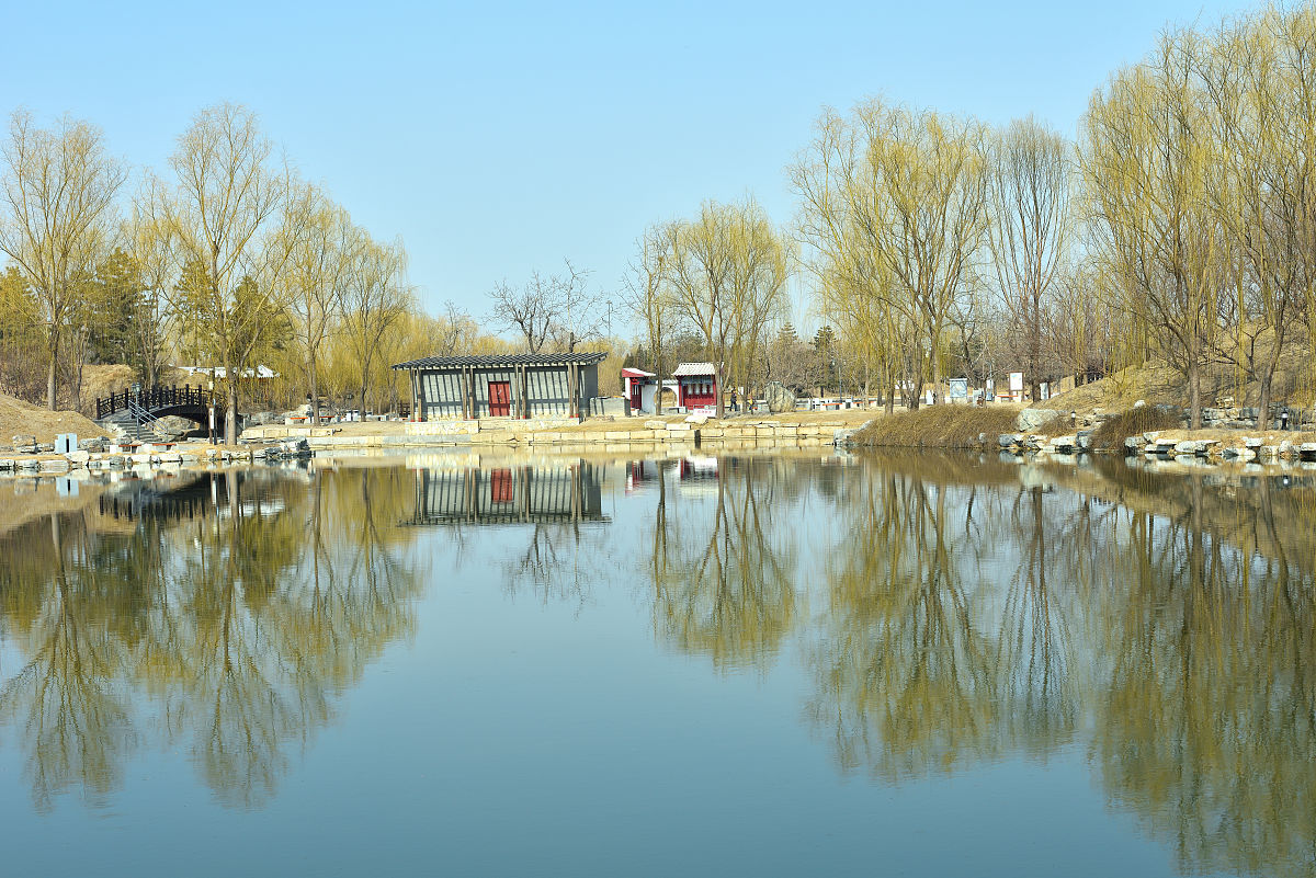 2019年2月28日,是农历八九的第六天,北京的天气已经转暖,圆明园里,沿