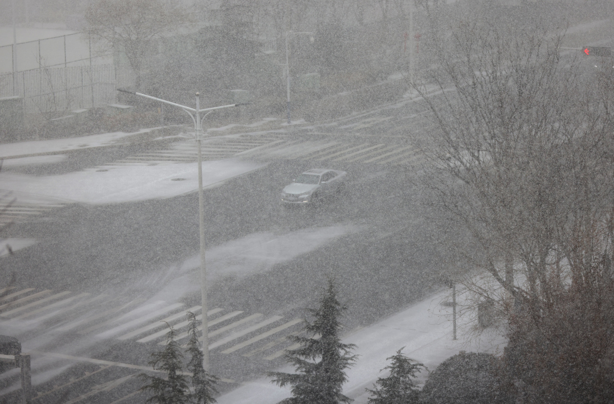 河南鹅毛大雪满天飞