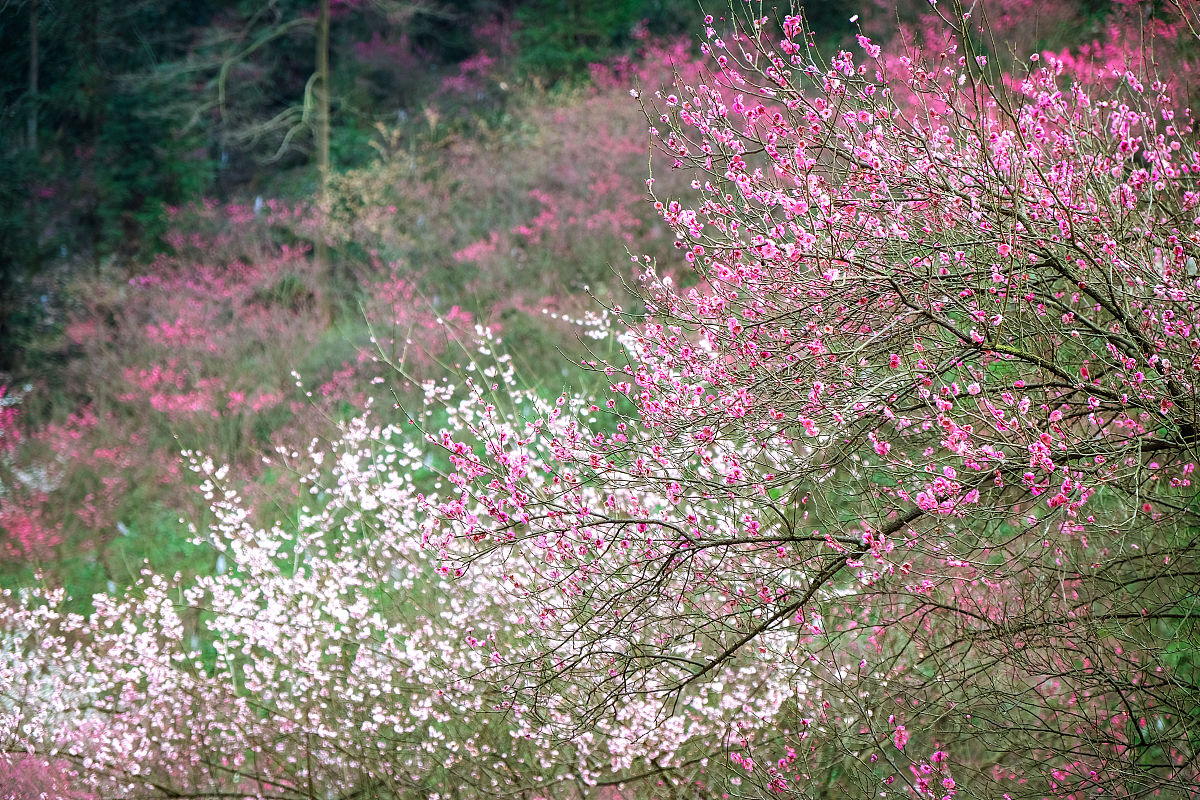 这句类似的话要求对称押韵有意境