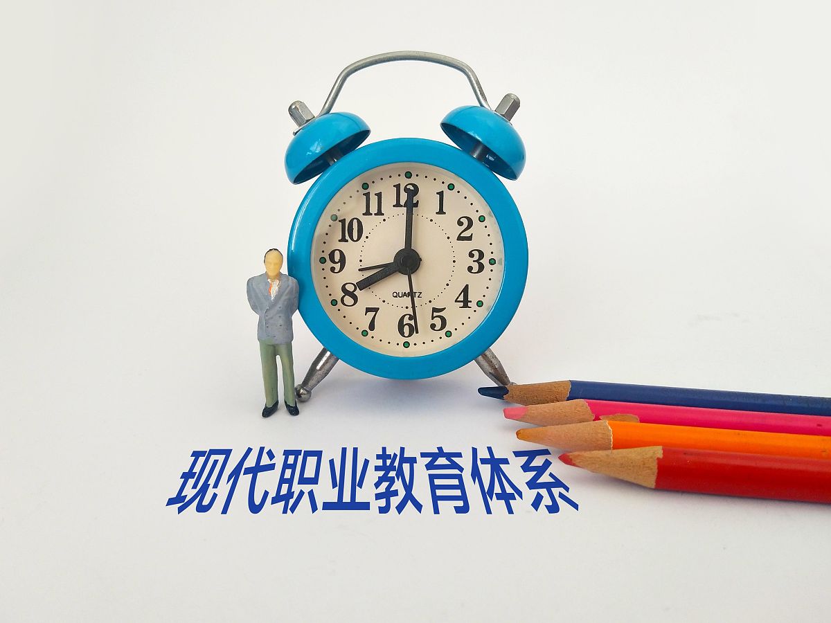 民办职业院校与公办职业院校对比：哪个更适合你？