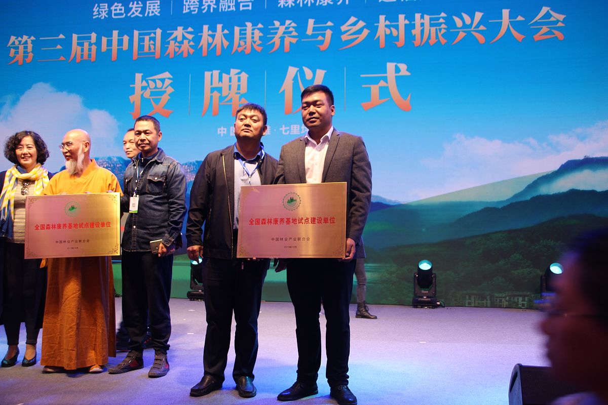 梁成华新农村社会治理与中国式现代化J经济与管理链接