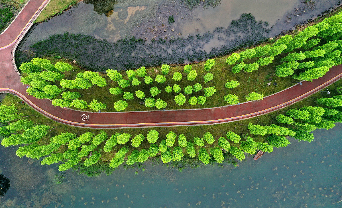 成都天府职业技术学校招生办电话号码是多少？