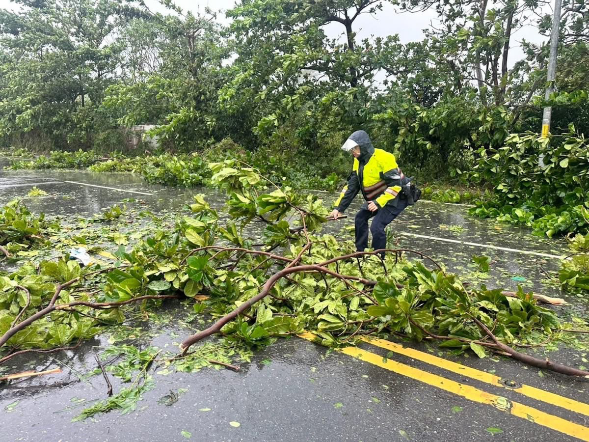 20条回复：台风红色预警！苏拉今日凌晨登陆广东 海葵明日或登陆台湾