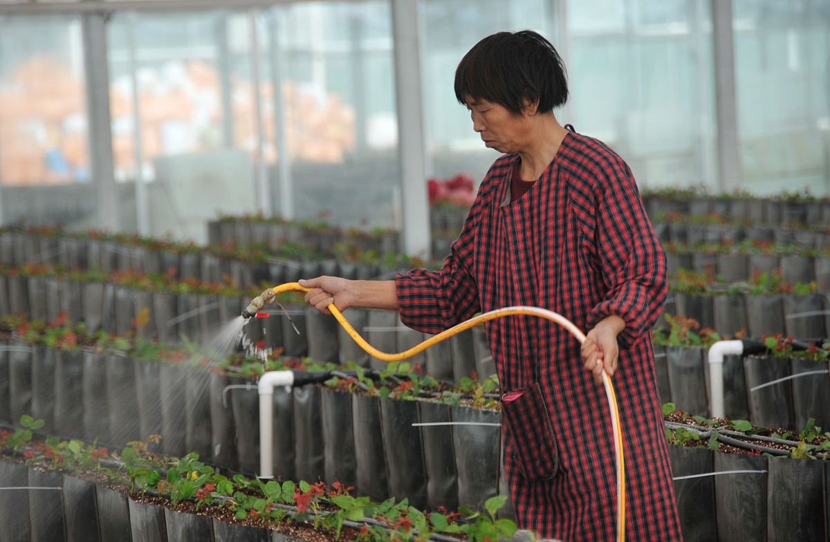 河南农业职业学院图形图像制作专业课程内容详解：培养创意与设计人才