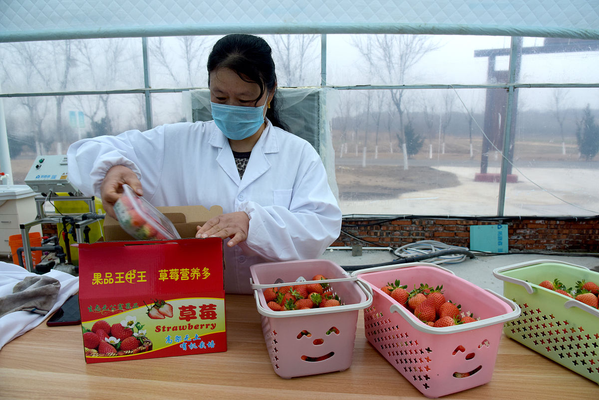 潞安职业技术学院农产品加工与质量检测专业就业前景分析