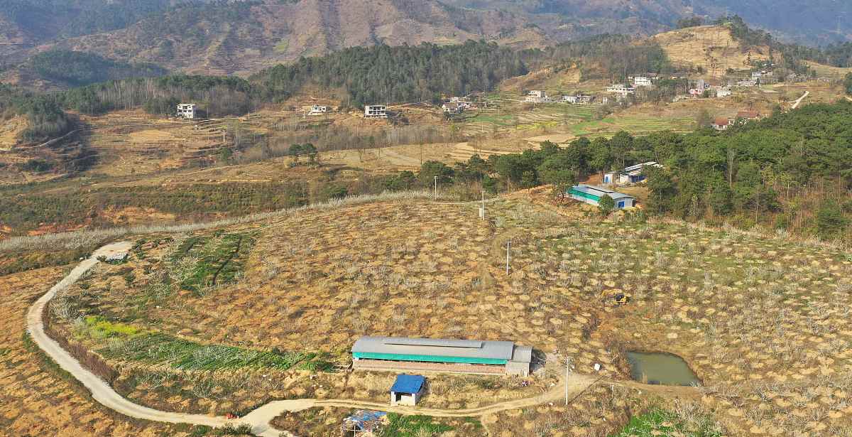 请围绕灌阳县反映砂糖桔果园弃管问题需要引起重视报送信息一则。从农业产