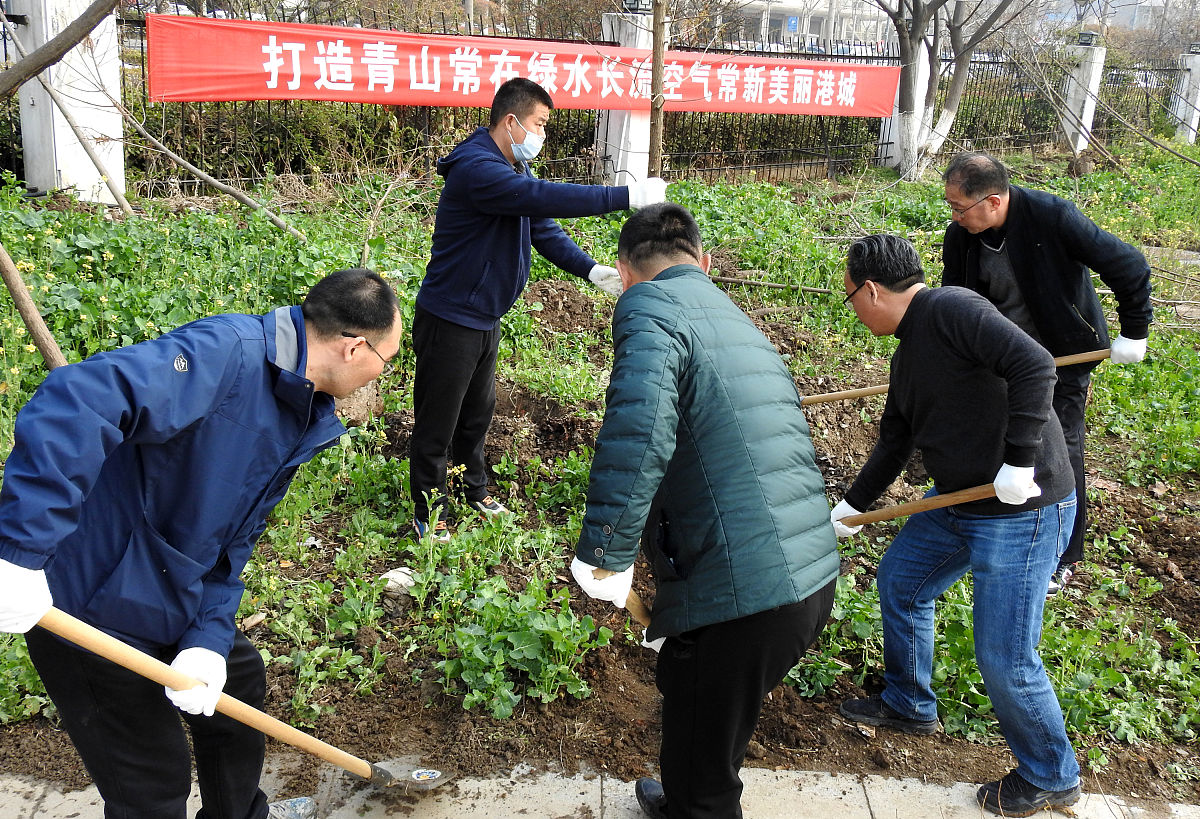 市、镇人大代表人居环境情况开展工作检查、绿化美化情况进行视察。
