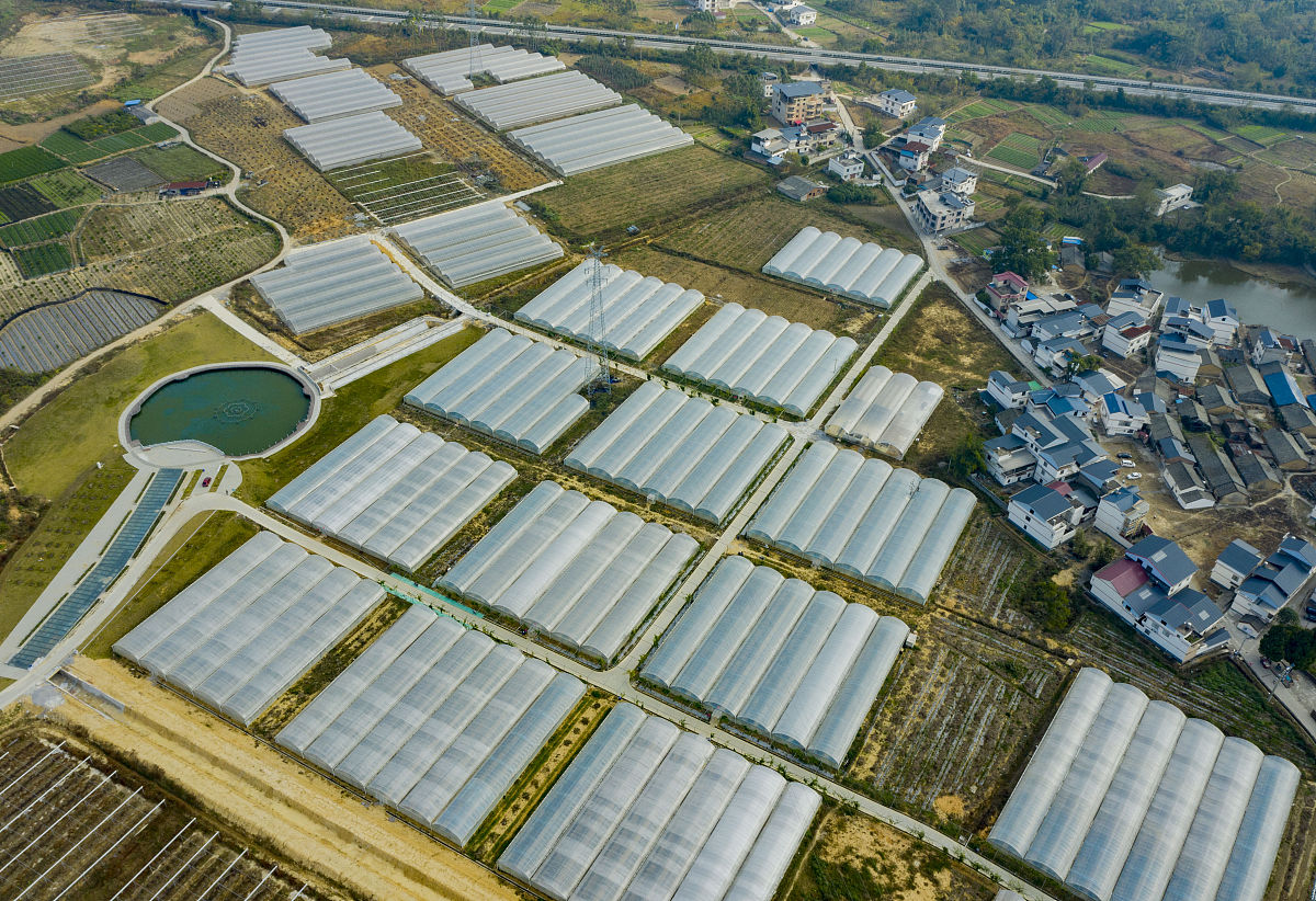 2021年12月13日,广西桂林市,叠彩区大河乡的农业标准大棚.
