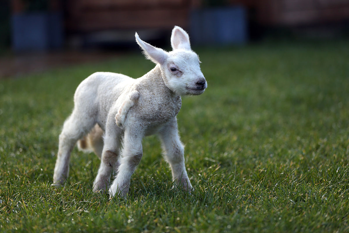 同名同姓同年同月同日生的概率有多大？超乎你想象！